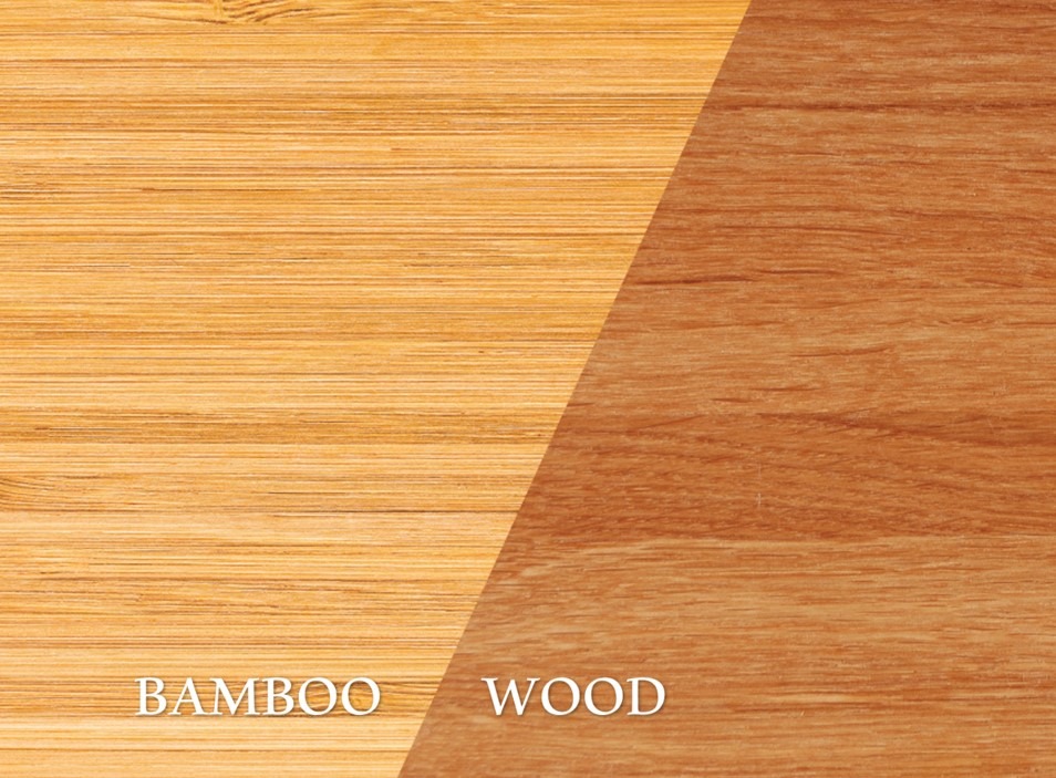 Is Bamboo Wood | dassoXTR 