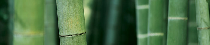 87% Natural Bamboo
